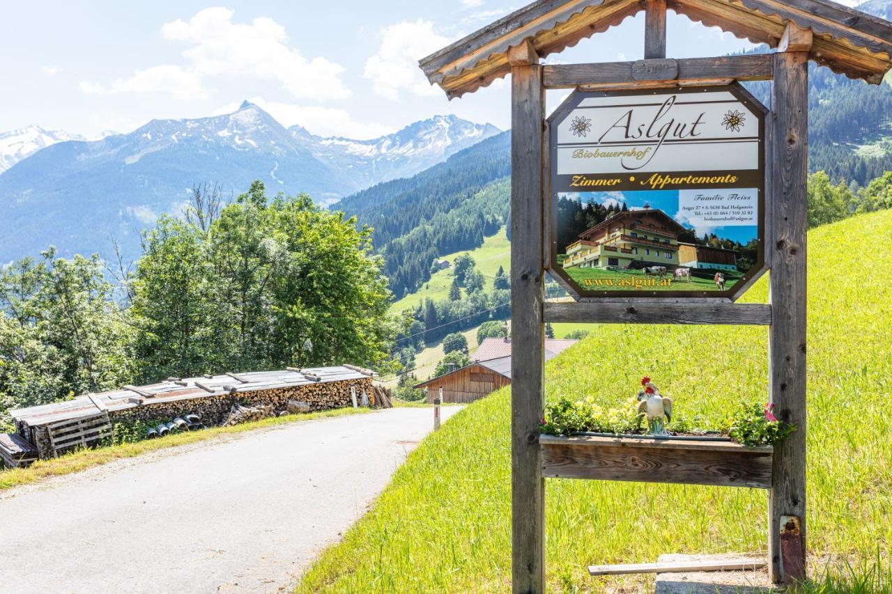 Vila Biobauernhof Aslgut Bad Hofgastein Exteriér fotografie