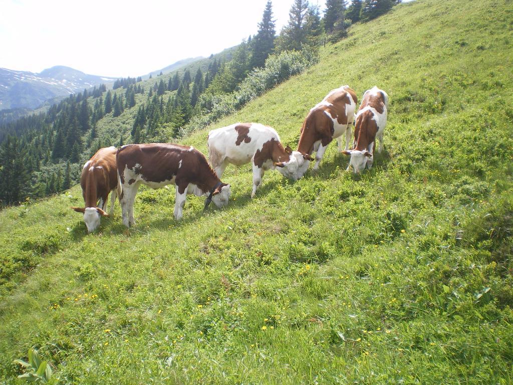 Vila Biobauernhof Aslgut Bad Hofgastein Exteriér fotografie