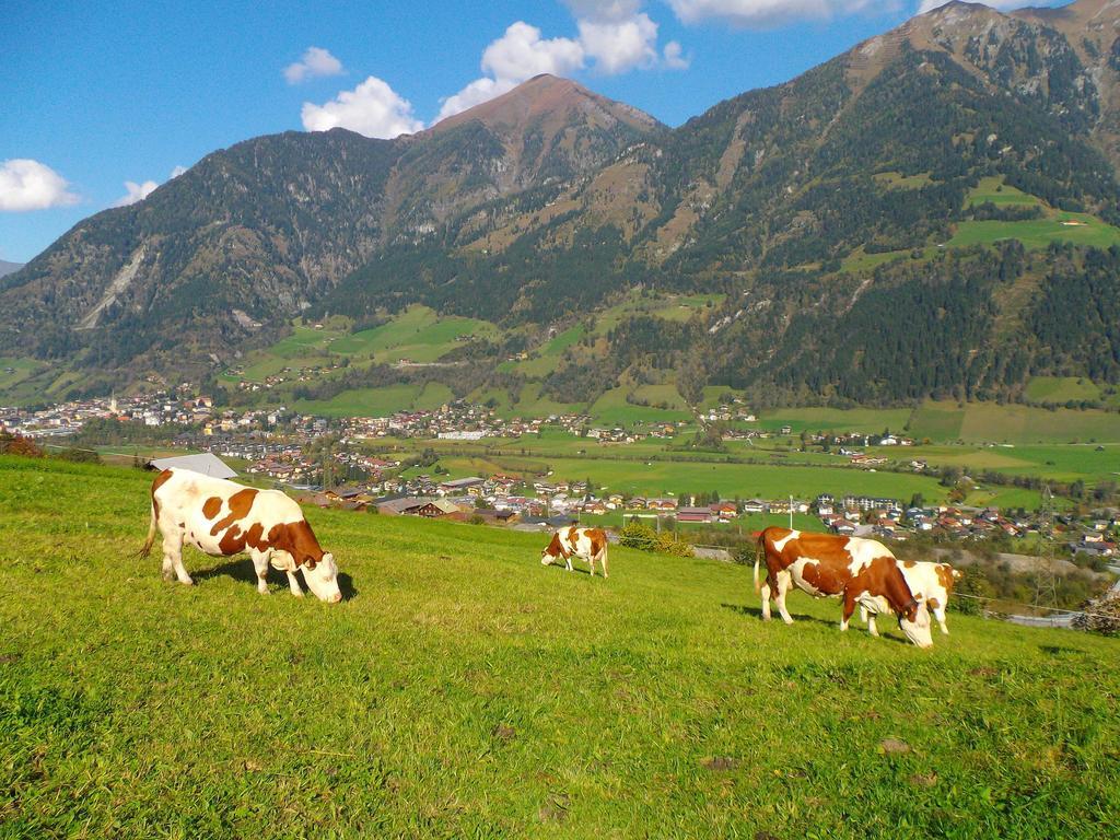 Vila Biobauernhof Aslgut Bad Hofgastein Exteriér fotografie
