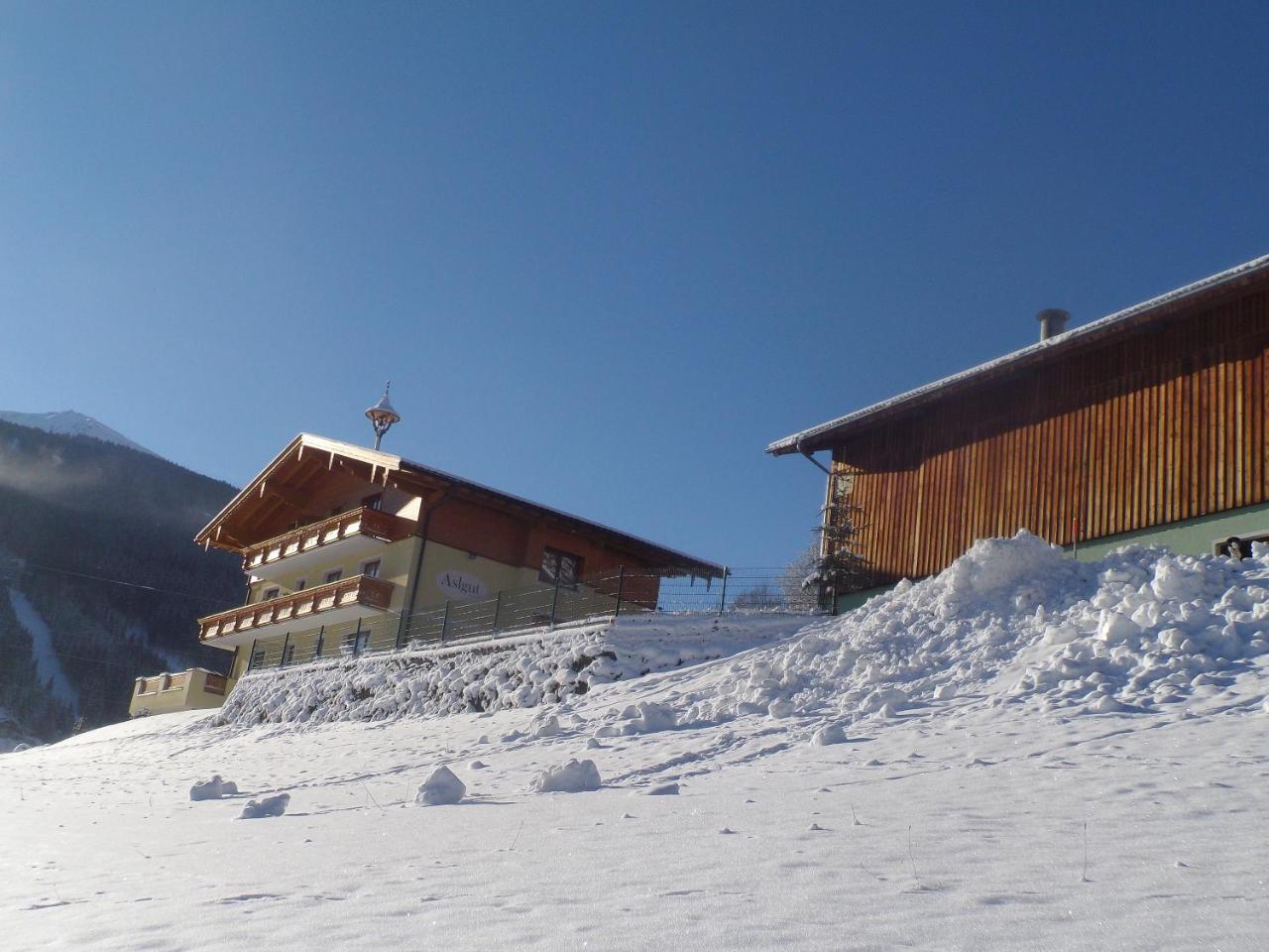 Vila Biobauernhof Aslgut Bad Hofgastein Exteriér fotografie